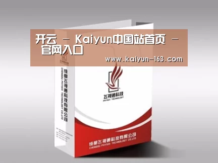 项目名称十三