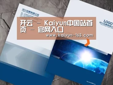项目名称十